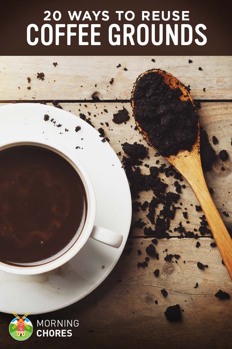 Repurpose Coffee Grounds