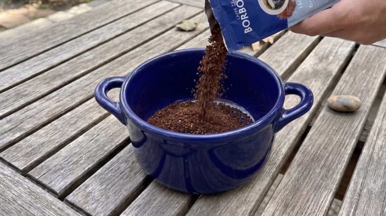 Coffee Grounds Mosquitoes